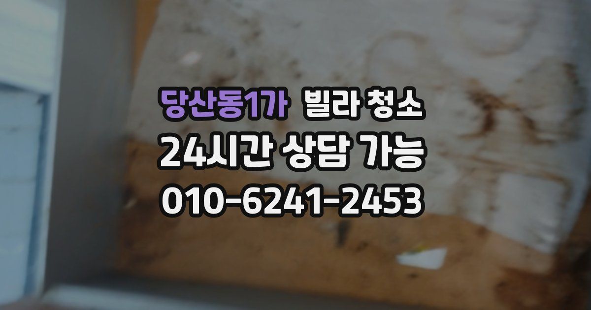 당산동1가 빌라 청소