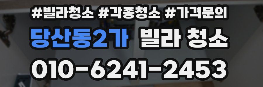 당산동2가 빌라 청소