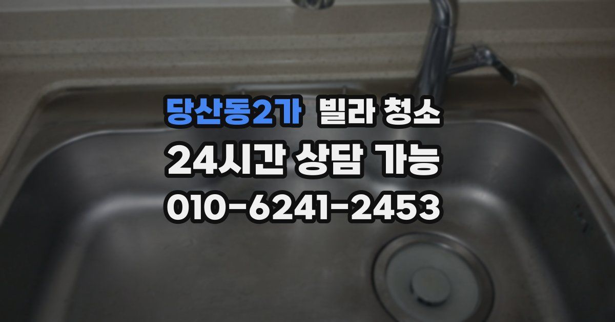 당산동2가 빌라 청소