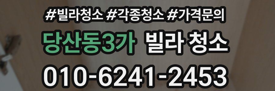 당산동3가 빌라 청소