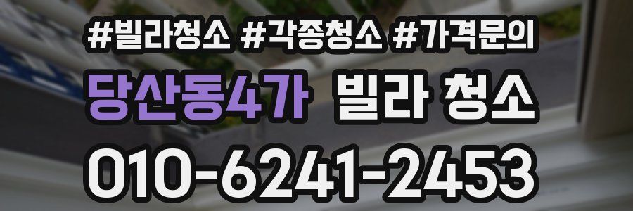 당산동4가 빌라 청소