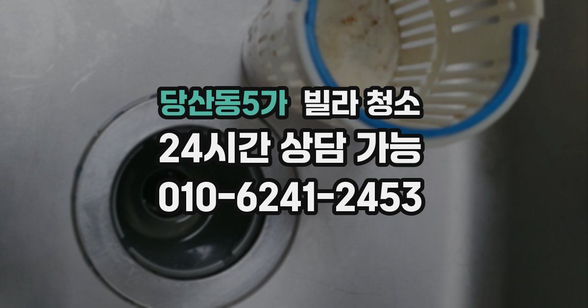 당산동5가 빌라 청소