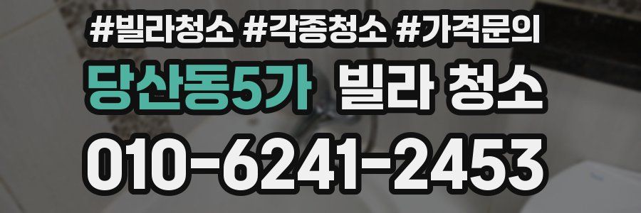 당산동5가 빌라 청소