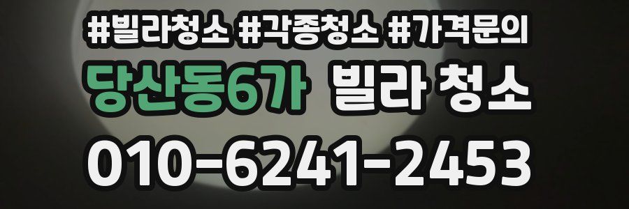 당산동6가 빌라 청소