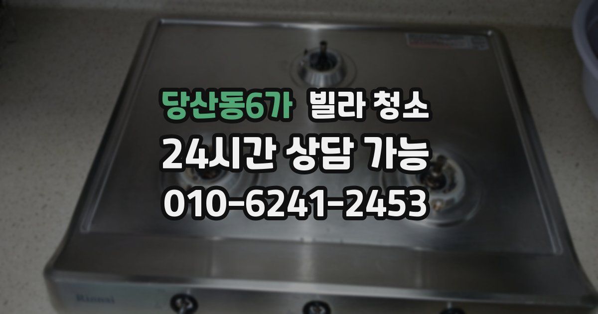 당산동6가 빌라 청소