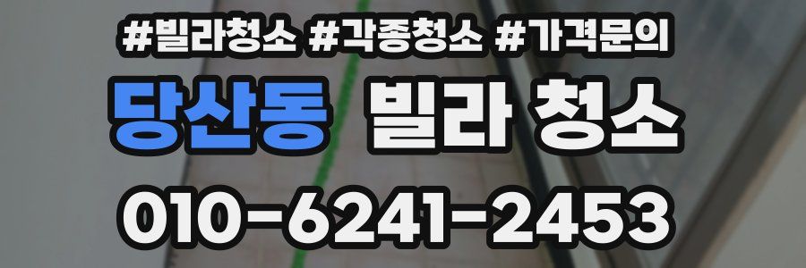 당산동 빌라 청소
