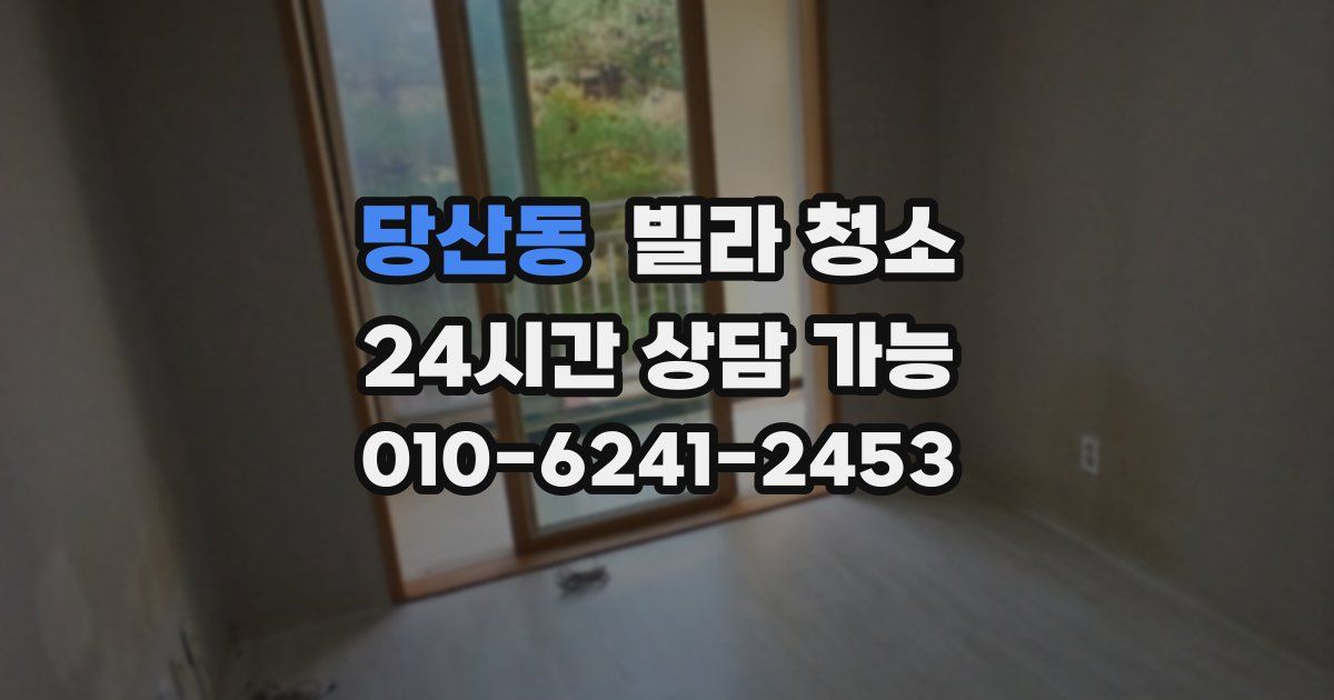 당산동 빌라 청소