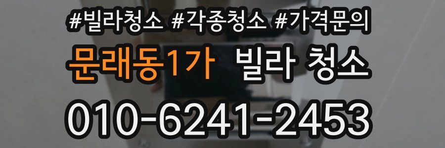 문래동1가 빌라 청소