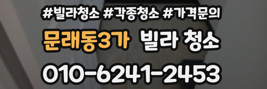문래동3가 빌라 청소