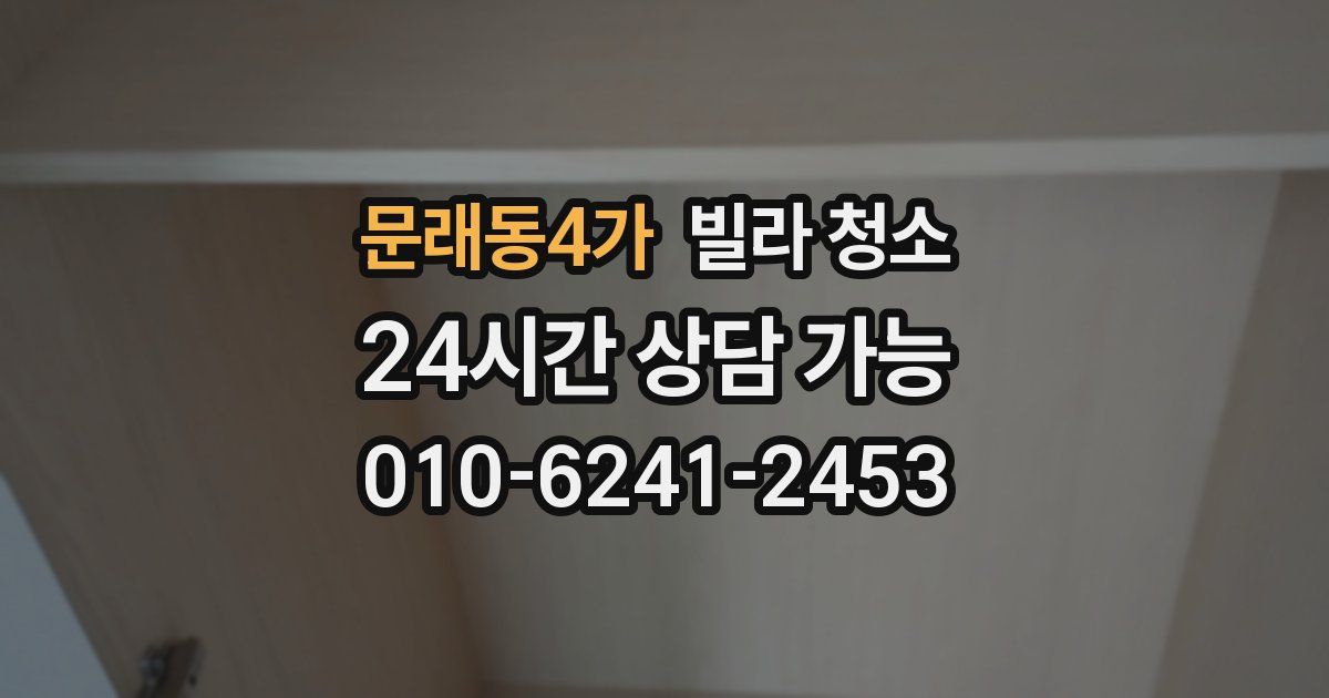 문래동4가 빌라 청소