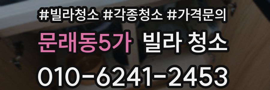 문래동5가 빌라 청소