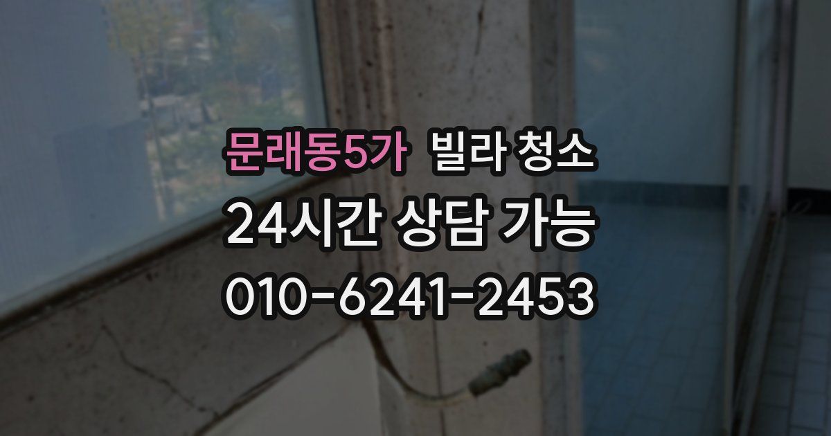 문래동5가 빌라 청소