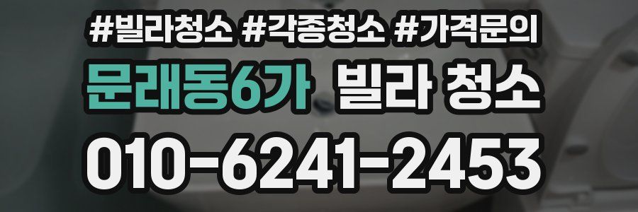문래동6가 빌라 청소