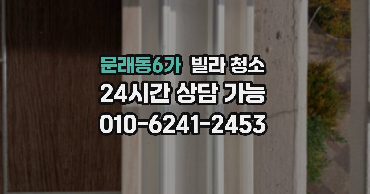 문래동6가 빌라 청소