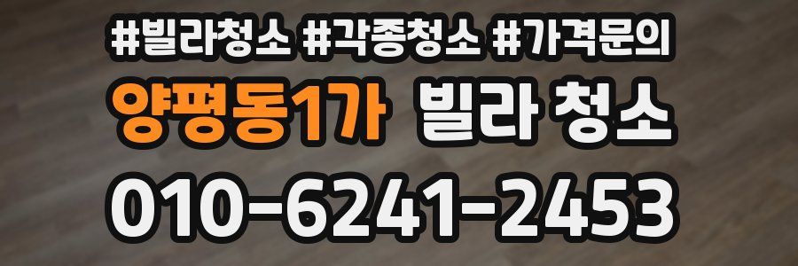 양평동1가 빌라 청소