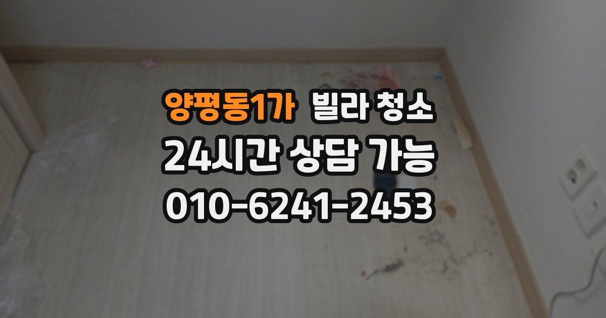 양평동1가 빌라 청소