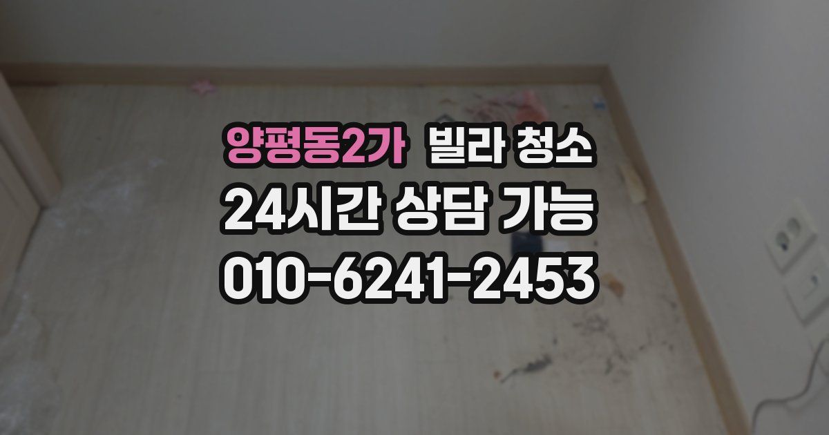 양평동2가 빌라 청소