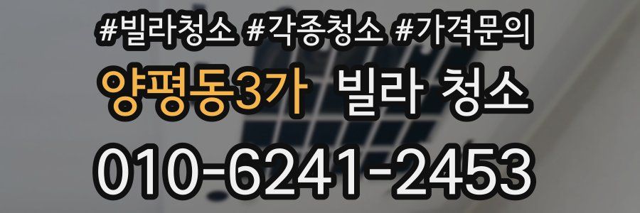 양평동3가 빌라 청소