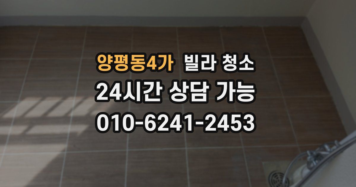 양평동4가 빌라 청소