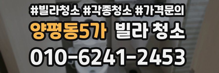 양평동5가 빌라 청소