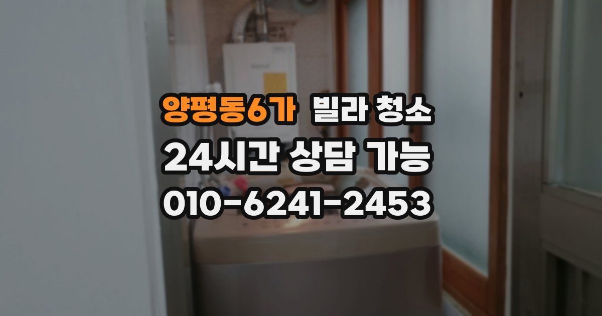 양평동6가 빌라 청소