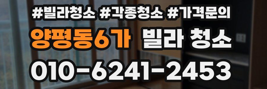 양평동6가 빌라 청소