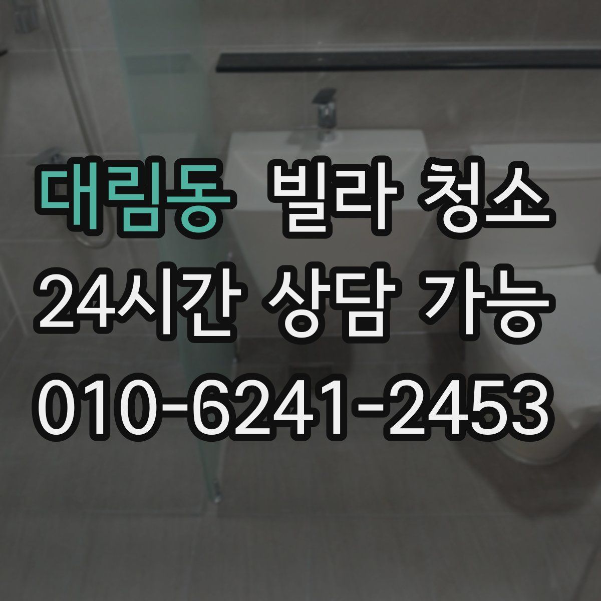 대림동 빌라 청소