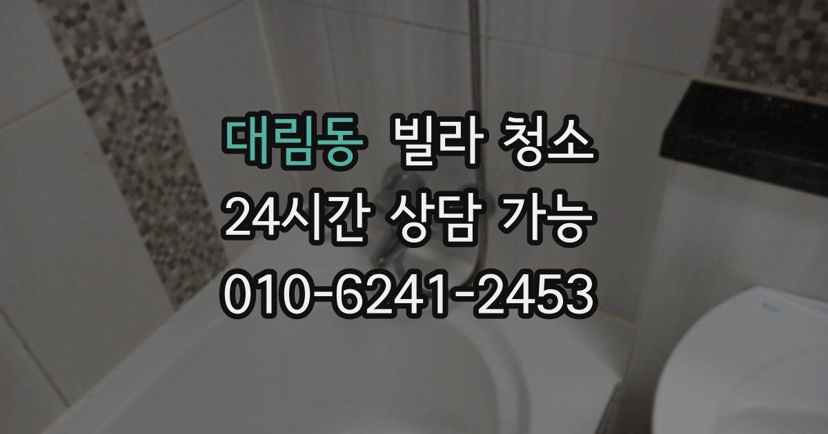 대림동 빌라 청소