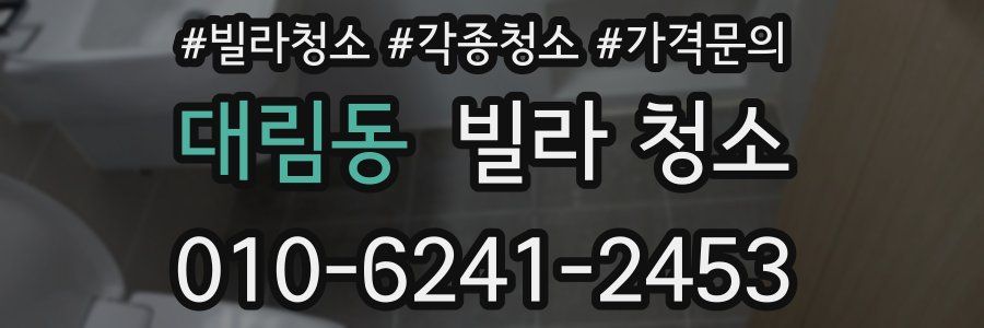 대림동 빌라 청소