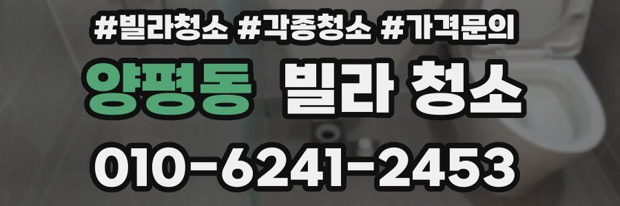 양평동 빌라 청소