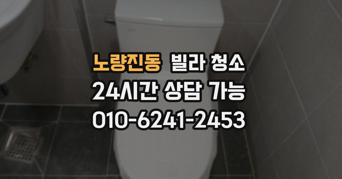 노량진동 빌라 청소