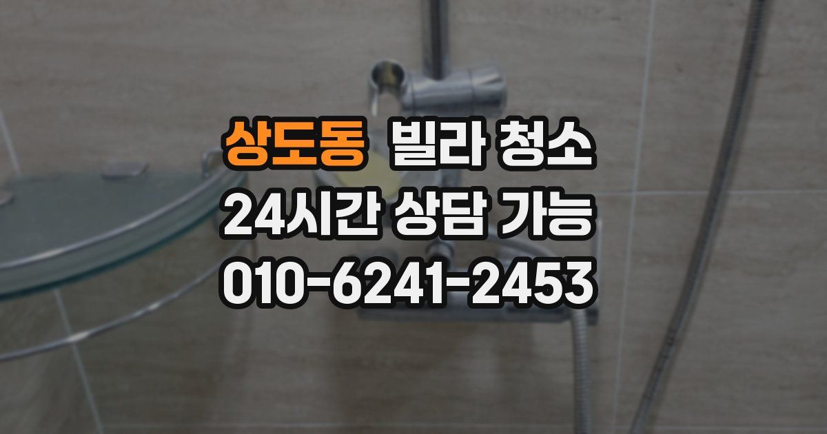 상도동 빌라 청소