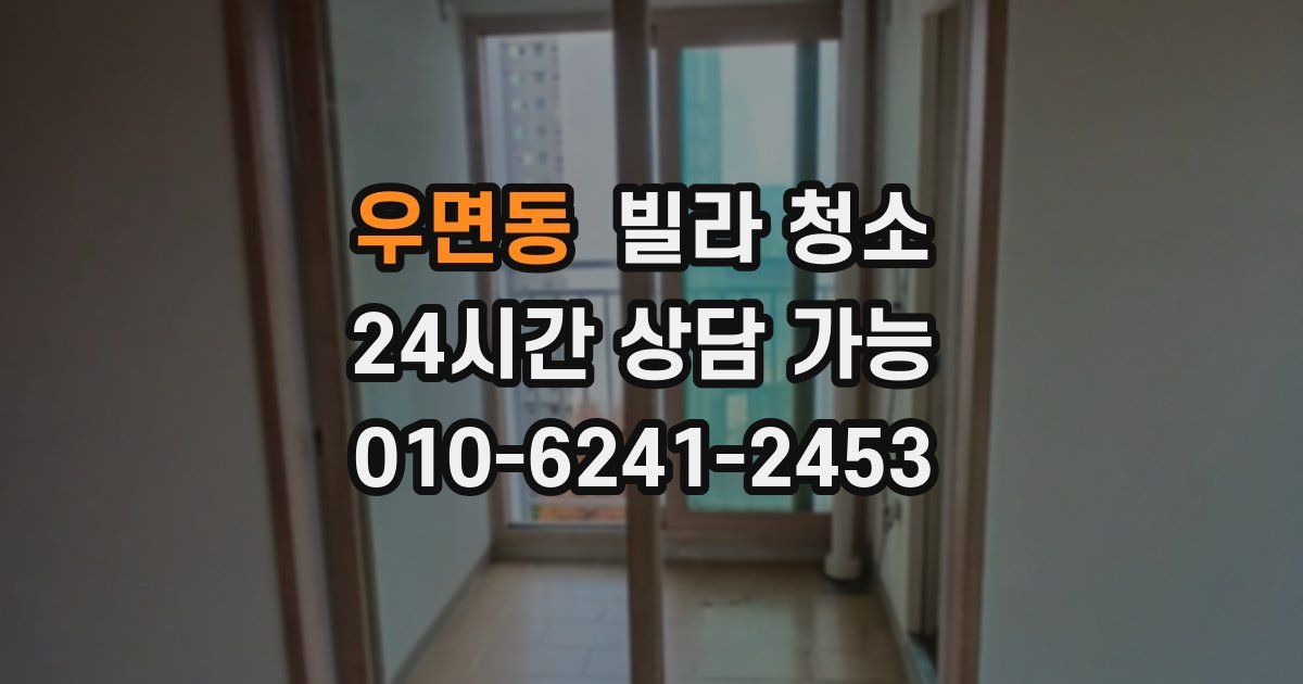 우면동 빌라 청소