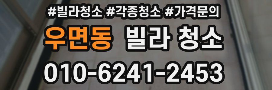 우면동 빌라 청소