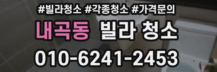 내곡동 빌라 청소