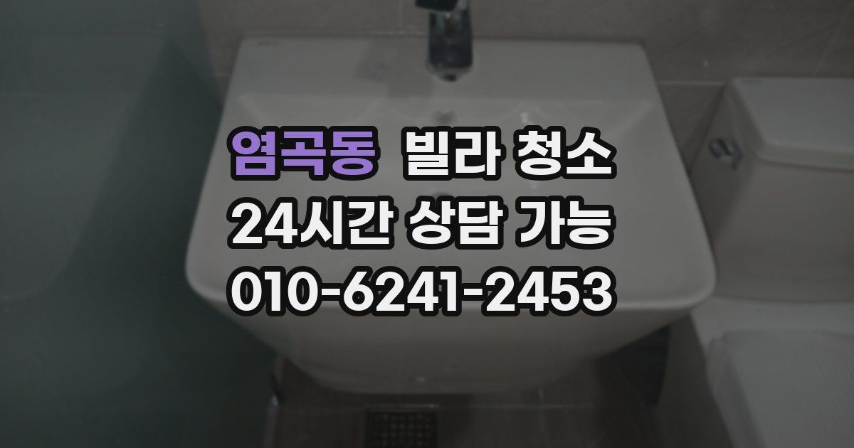 염곡동 빌라 청소