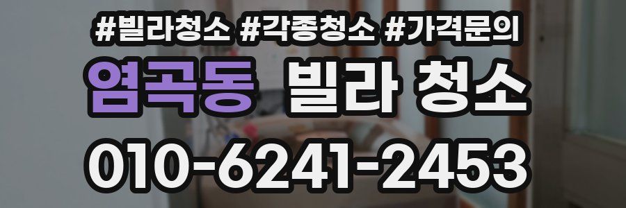 염곡동 빌라 청소