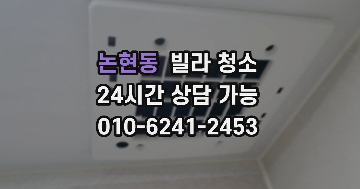 논현동 빌라 청소