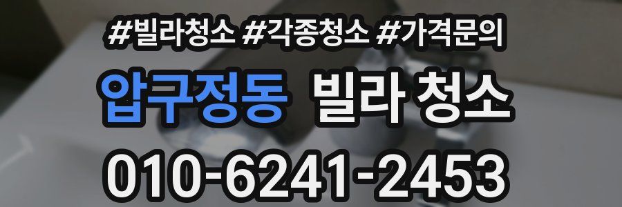 압구정동 빌라 청소