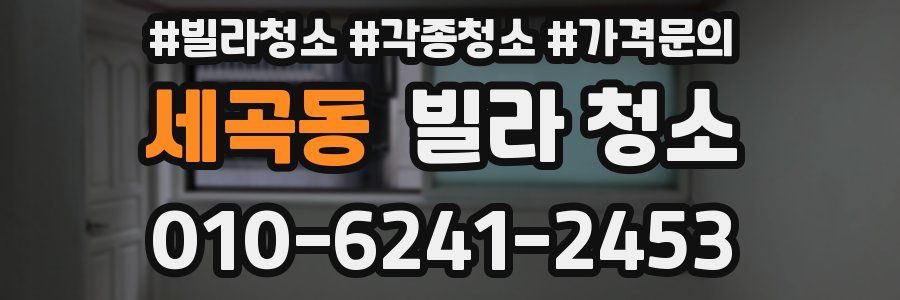 세곡동 빌라 청소