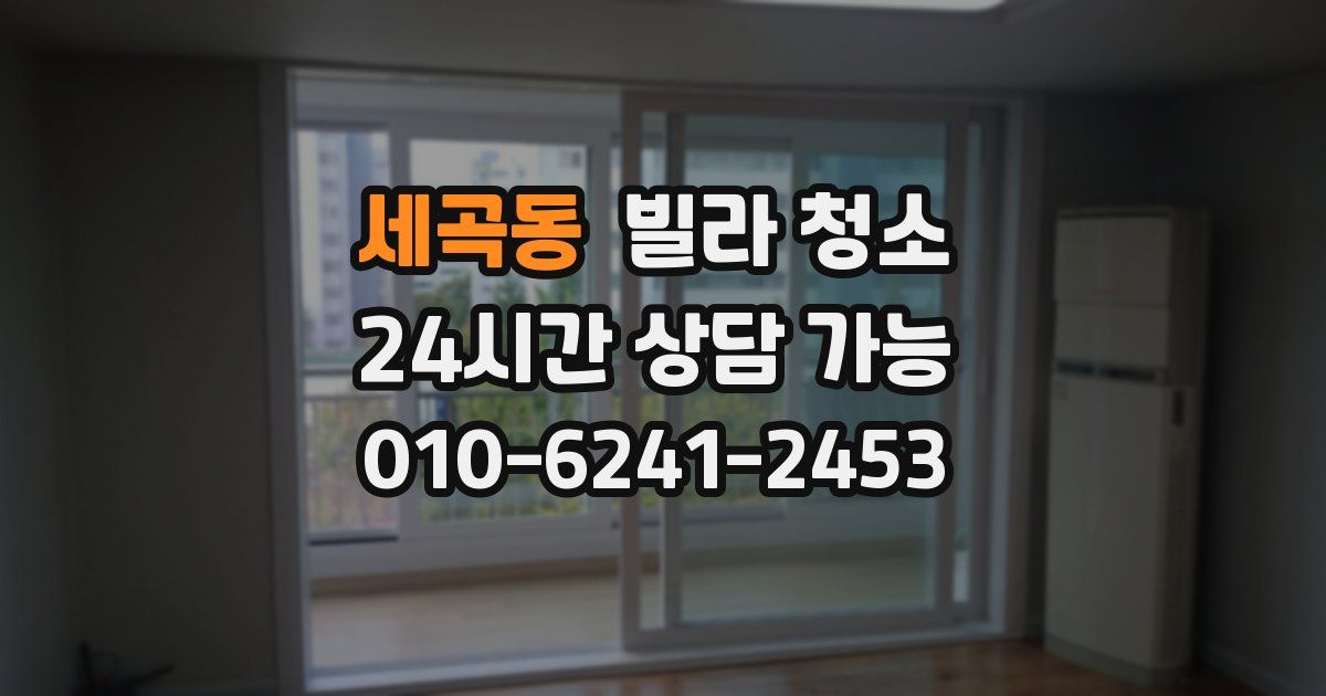 세곡동 빌라 청소