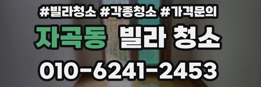 자곡동 빌라 청소