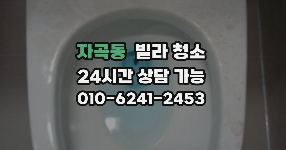 자곡동 빌라 청소