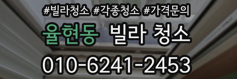 율현동 빌라 청소