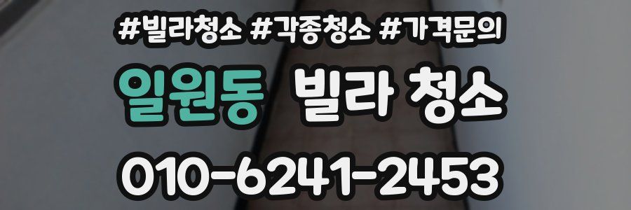 일원동 빌라 청소