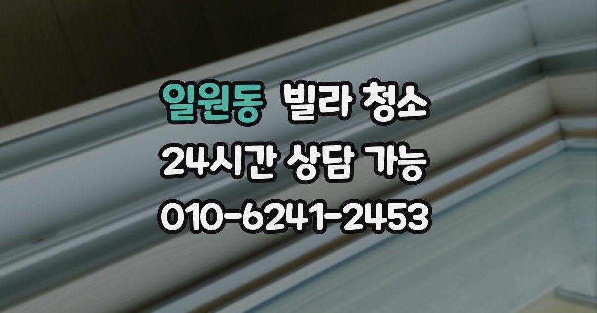 일원동 빌라 청소