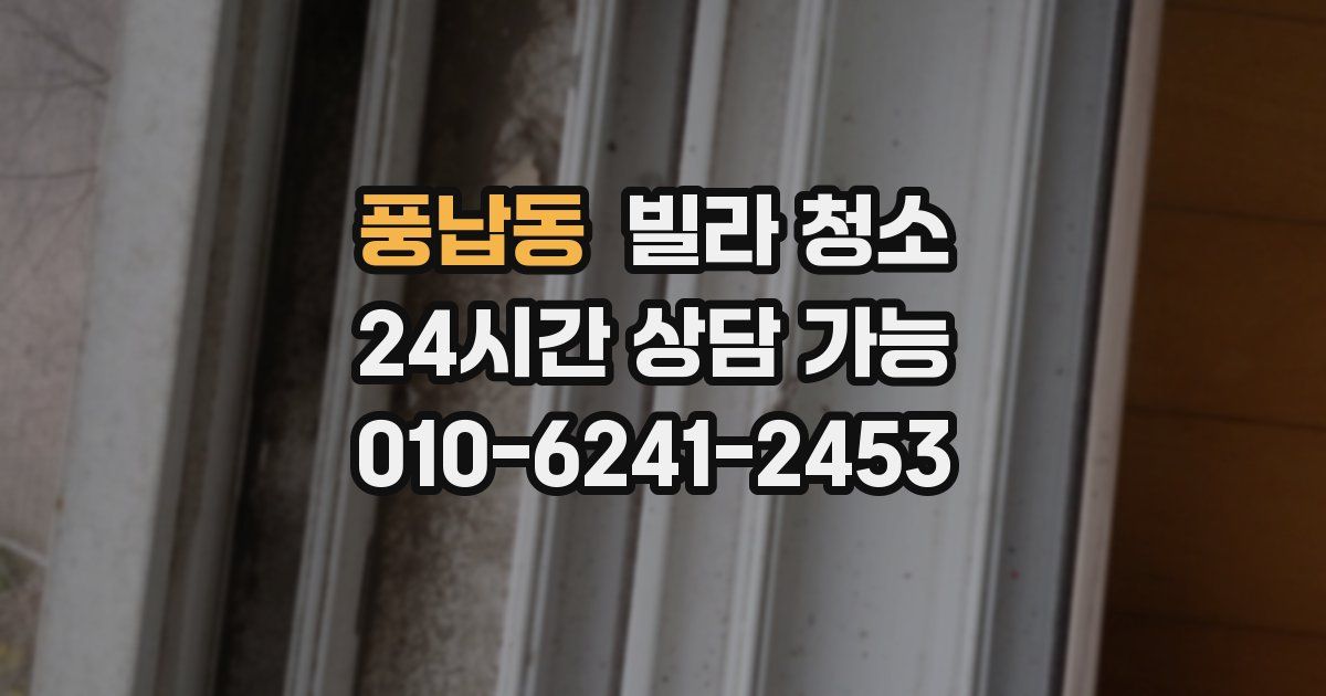 풍납동 빌라 청소