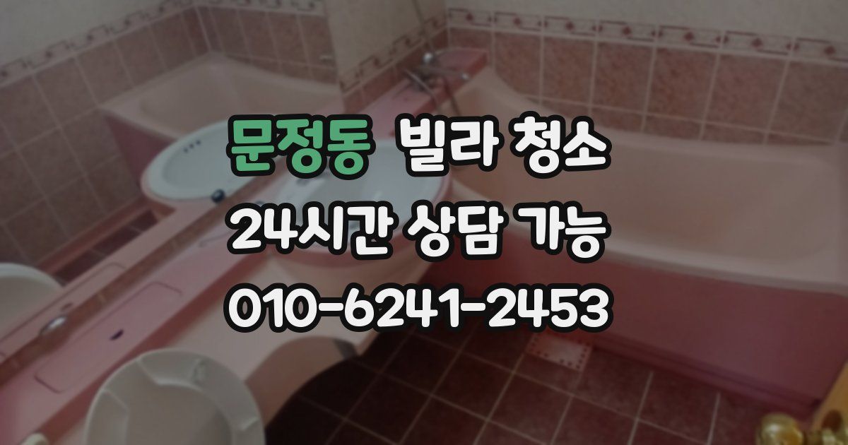 문정동 빌라 청소