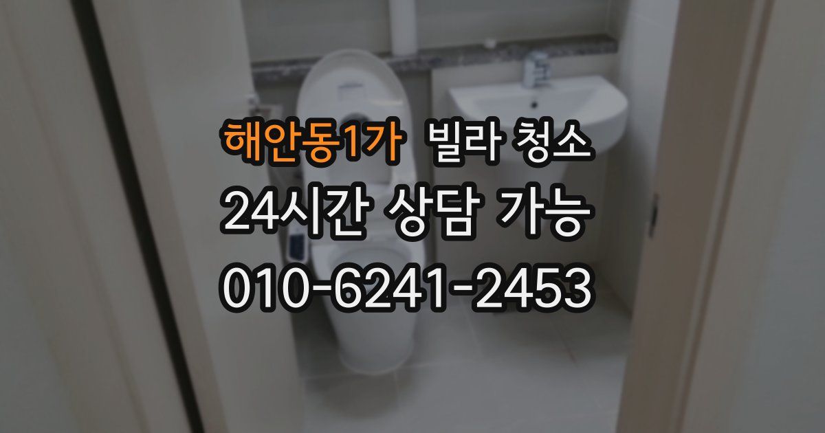 해안동1가 빌라 청소
