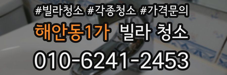 해안동1가 빌라 청소